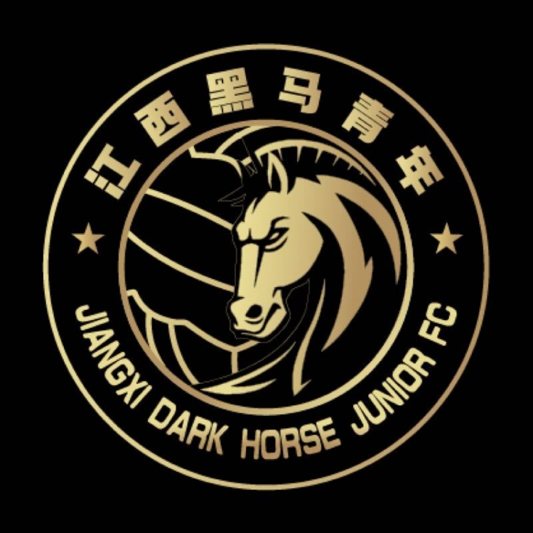 官方:江西黑马青年完成异地迁移程序,更名为温州职业足球俱乐部